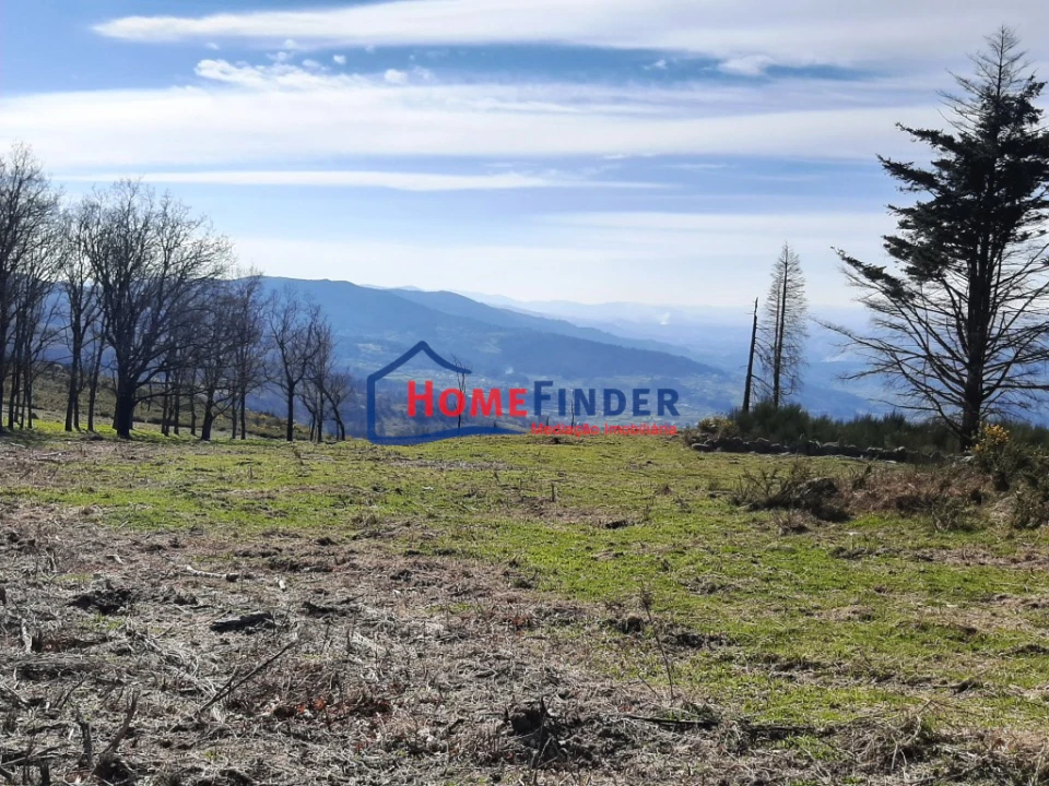 Moradia T1 para Venda em Fiães Foto 48