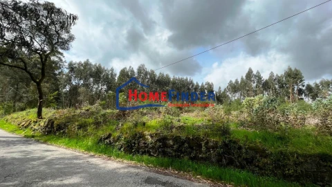 Terreno para Venda em Turiz