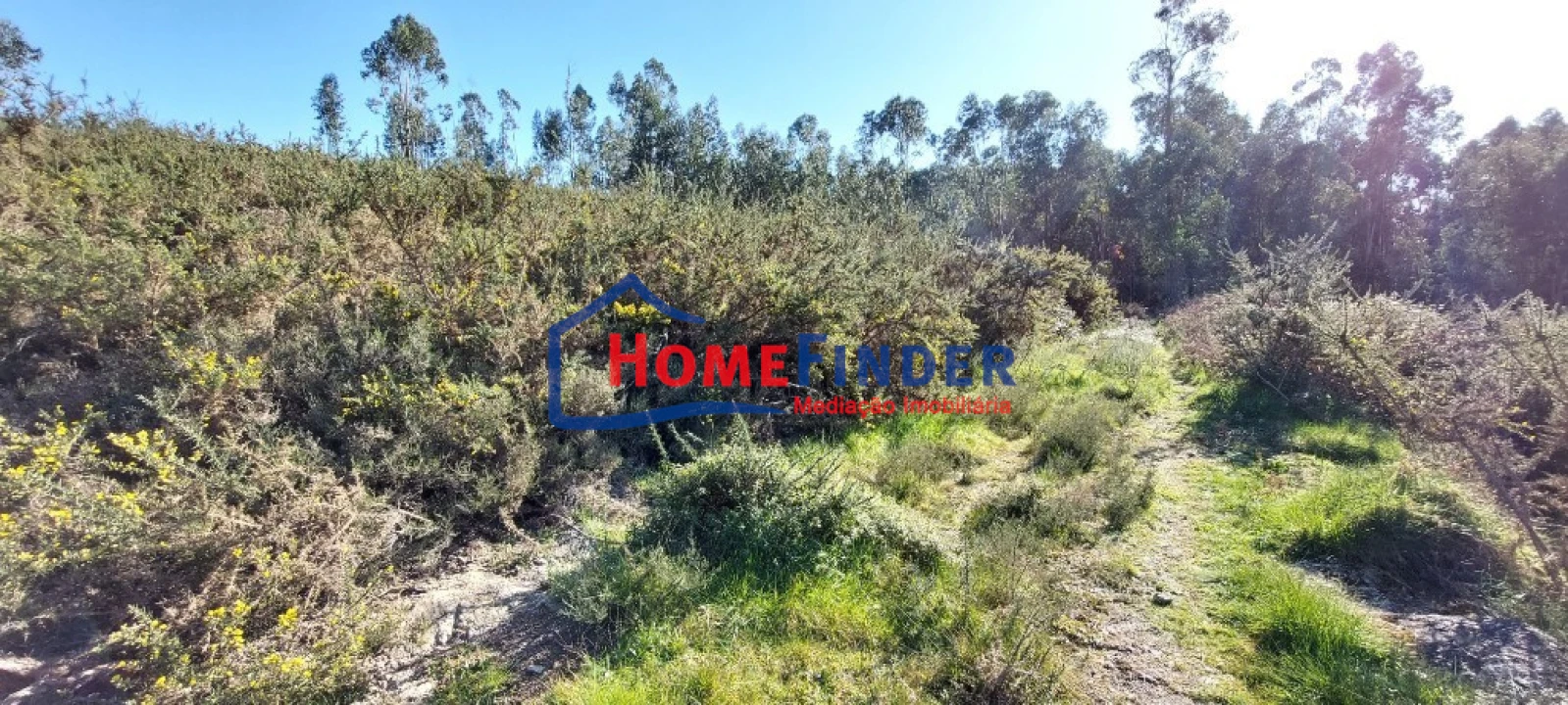 Terreno para Venda em Verim, Friande e Ajude Foto 6
