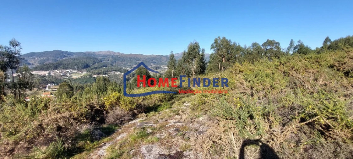 Terreno para Venda em Verim, Friande e Ajude Foto 13