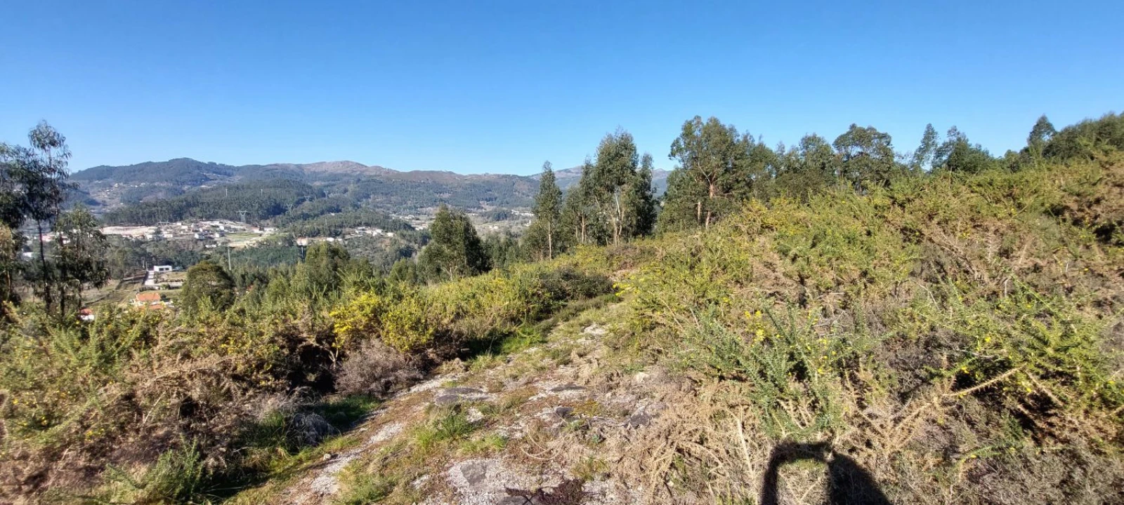 Terreno para Venda em Verim, Friande e Ajude Foto 21