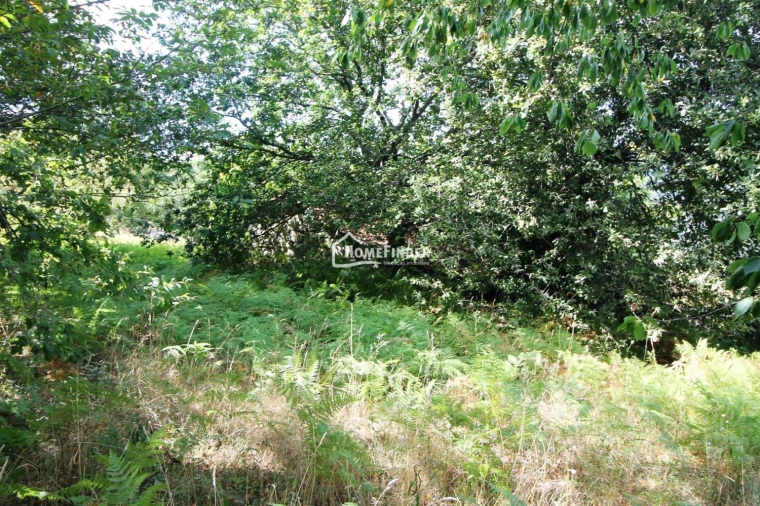 Moradia T1 para Venda em Verim, Friande e Ajude Foto 26