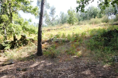 Terreno para Venda em Verim, Friande e Ajude