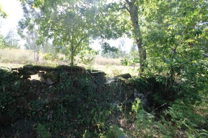 Terreno para Venda em Verim, Friande e Ajude