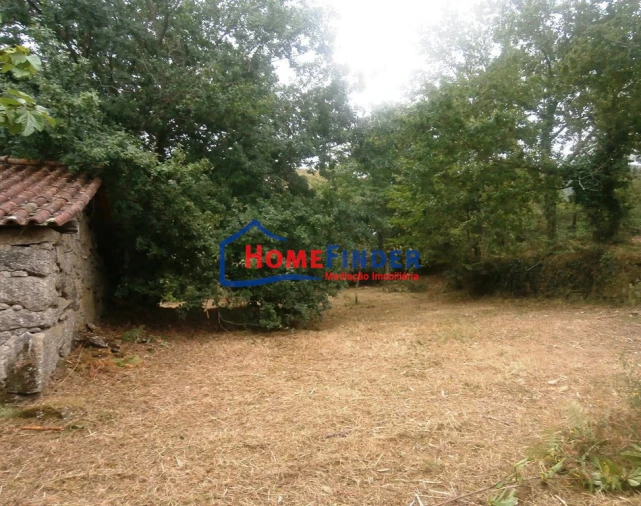 Terreno para Venda em Verim, Friande e Ajude Foto 5