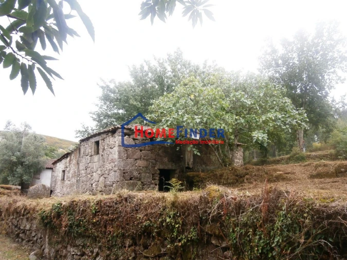 Terreno para Venda em Verim, Friande e Ajude Foto 6