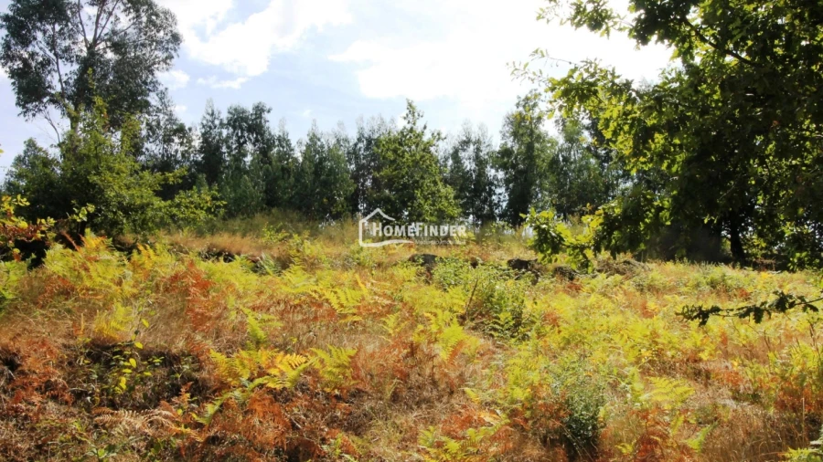 Terreno para Venda em Verim, Friande e Ajude