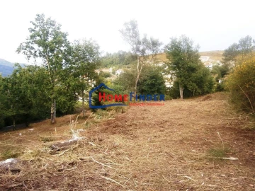 Quinta T1 para Venda em Verim, Friande e Ajude