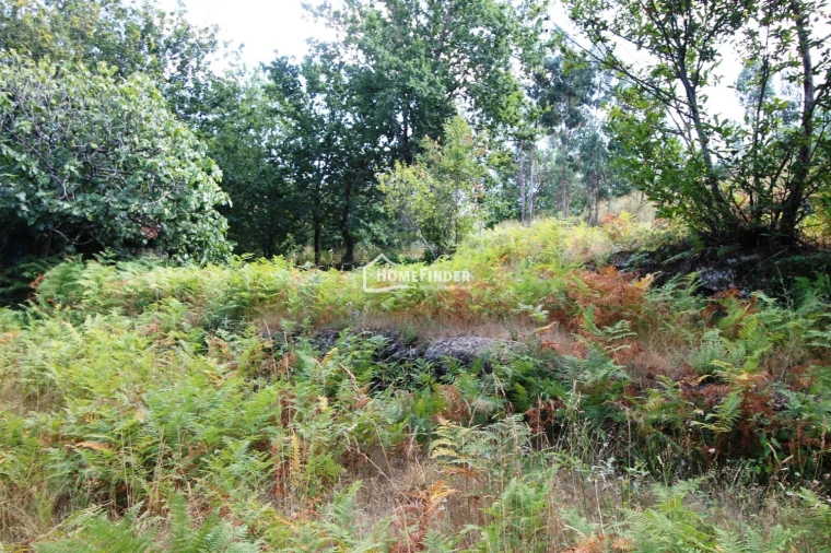 Quinta T1 para Venda em Verim, Friande e Ajude Foto 24