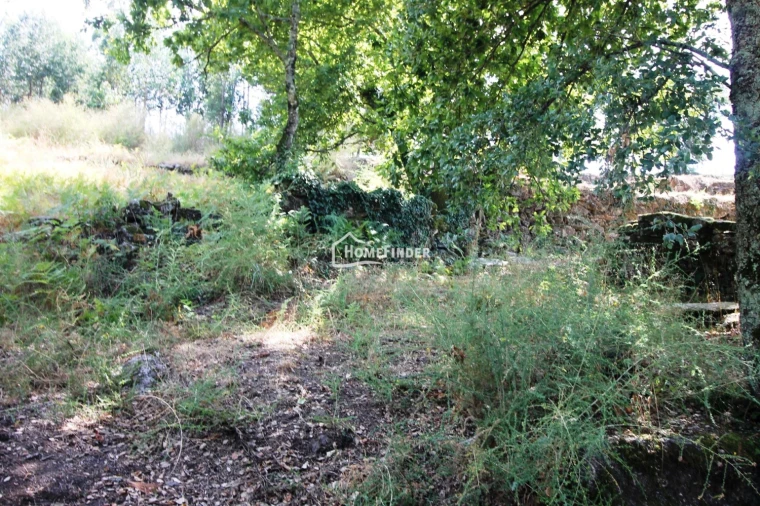 Quinta T1 para Venda em Verim, Friande e Ajude Foto 25