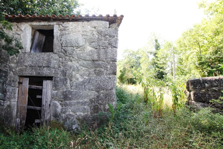 Quinta T1 para Venda em Verim, Friande e Ajude Planta 1