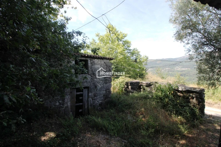Quinta T1 para Venda em Verim, Friande e Ajude Foto 19