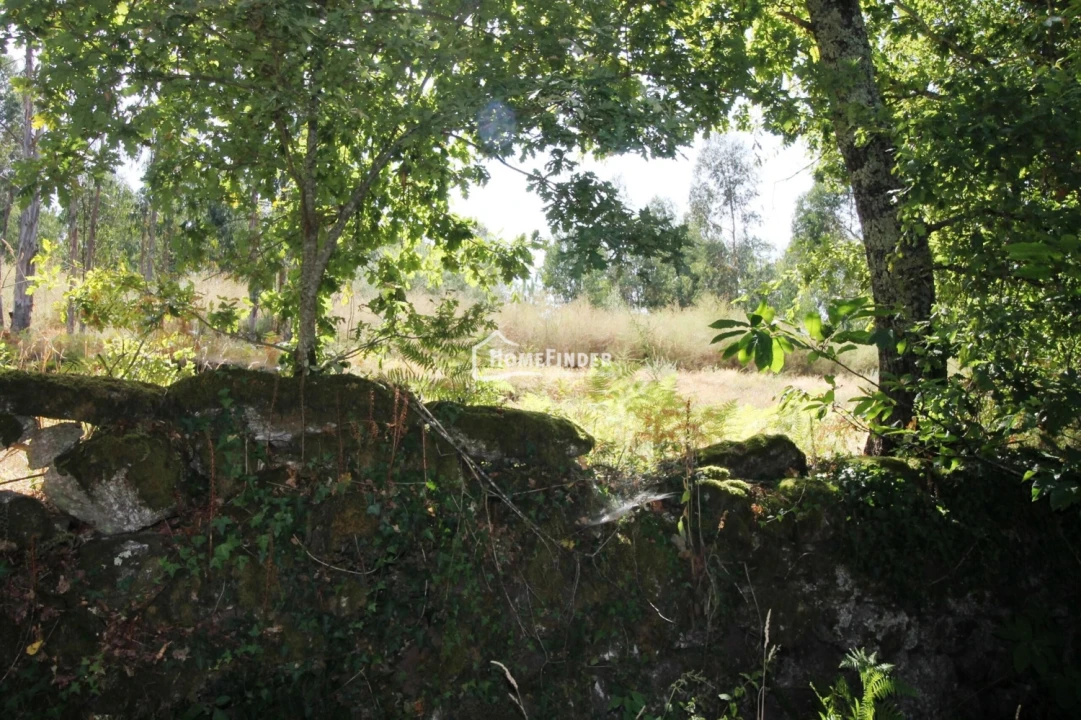 Quinta T1 para Venda em Verim, Friande e Ajude Foto 22