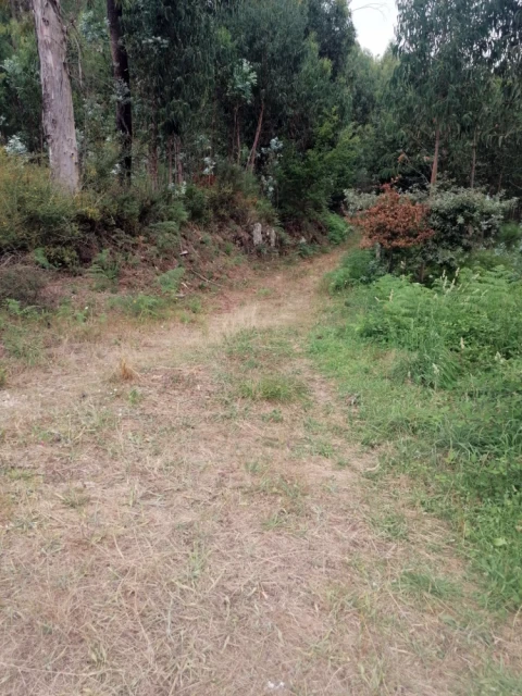 Terreno para Venda em Longos Vales