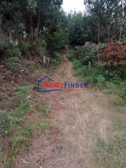 Terreno para Venda em Longos Vales