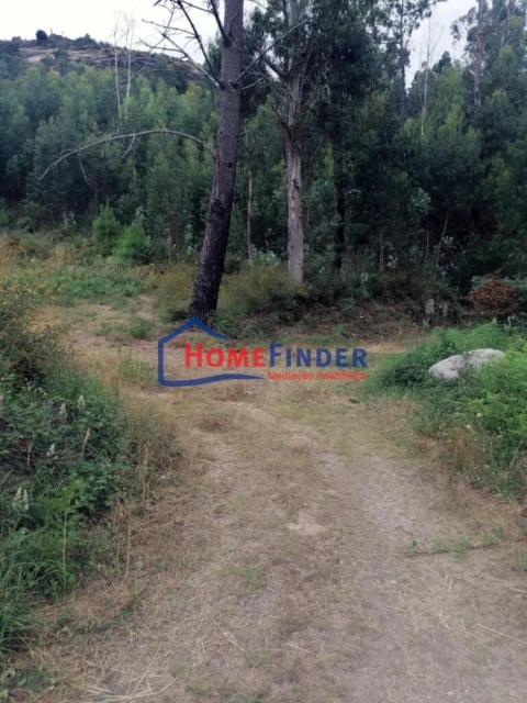 Terreno para Venda em Longos Vales