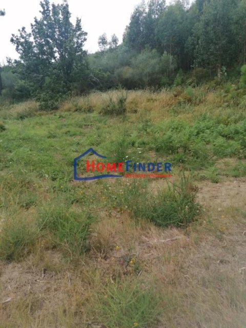 Terreno para Venda em Longos Vales