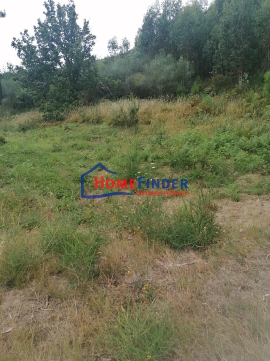 Terreno para Venda em Longos Vales Foto 20