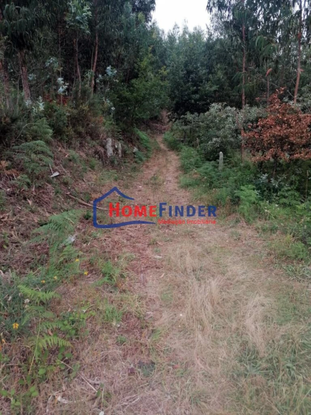 Terreno para Venda em Longos Vales Foto 23