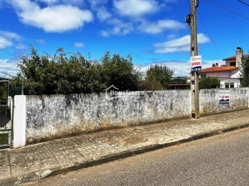 Terreno para Venda em Abrantes (São Vicente e São João) e Alferrarede