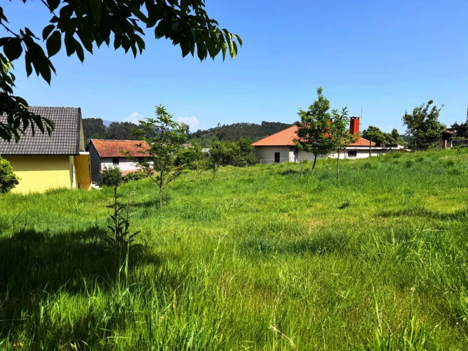 Terreno para Venda em Vieira do Minho Foto 11