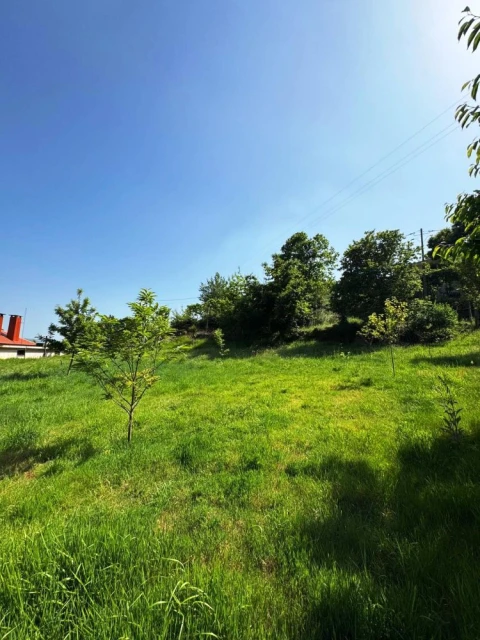 Terreno para Venda em Vieira do Minho