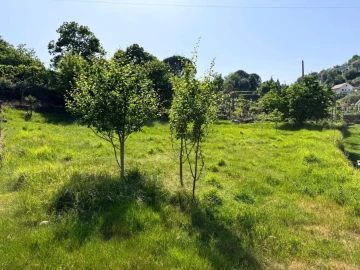 Terreno para Venda em Vieira do Minho