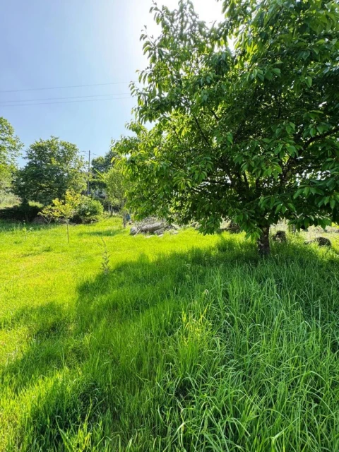 Terreno para Venda em Vieira do Minho