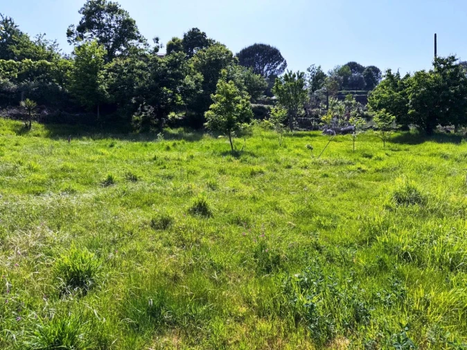 Terreno para Venda em Vieira do Minho Foto 16