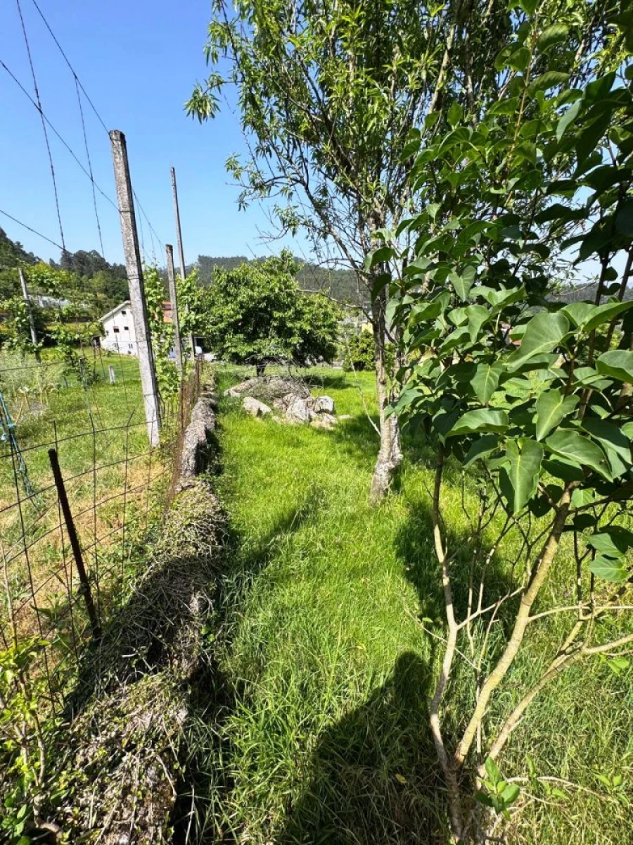 Terreno para Venda em Vieira do Minho Foto 18