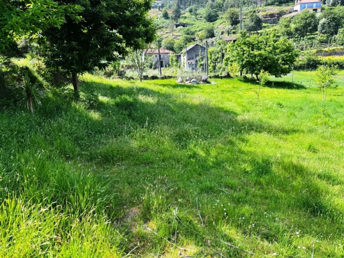 Terreno para Venda em Vieira do Minho Foto 17