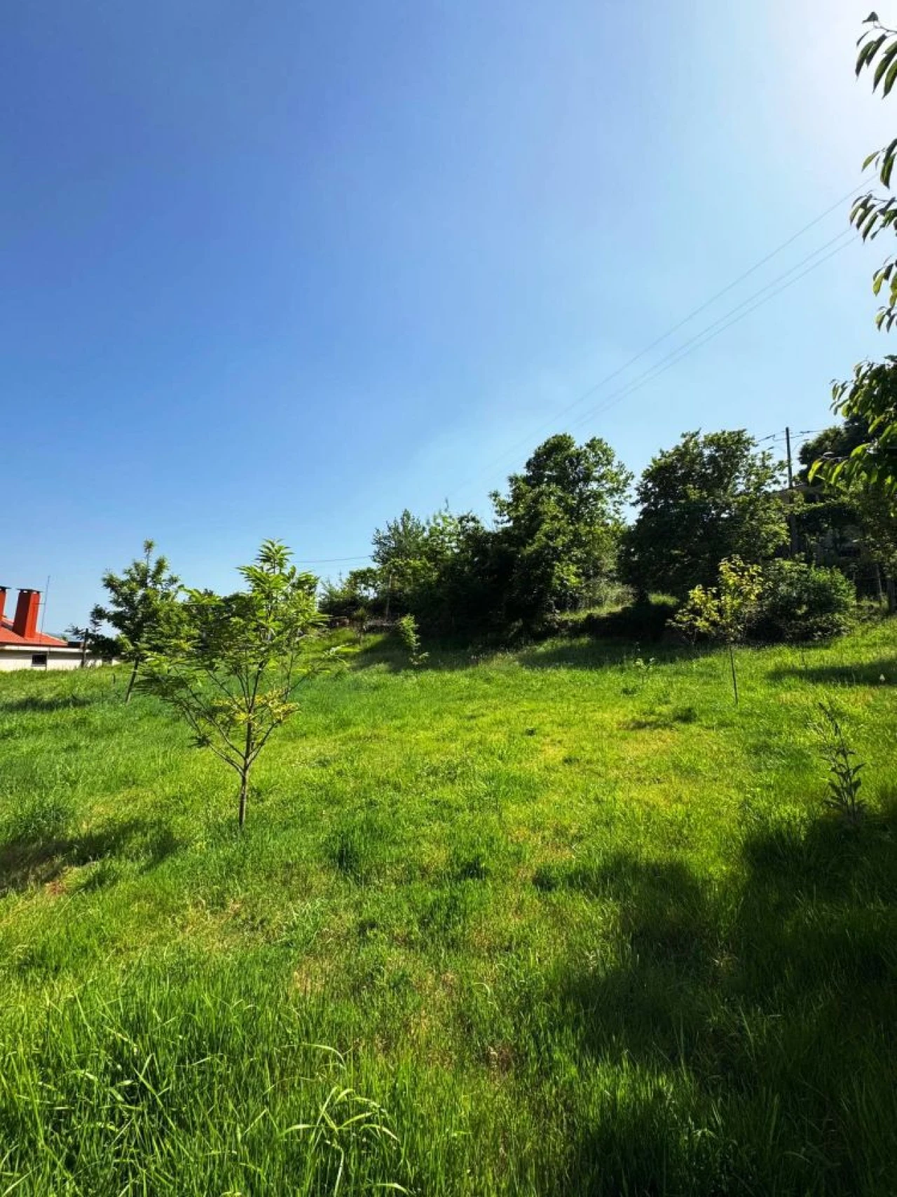 Terreno para Venda em Vieira do Minho Foto 8