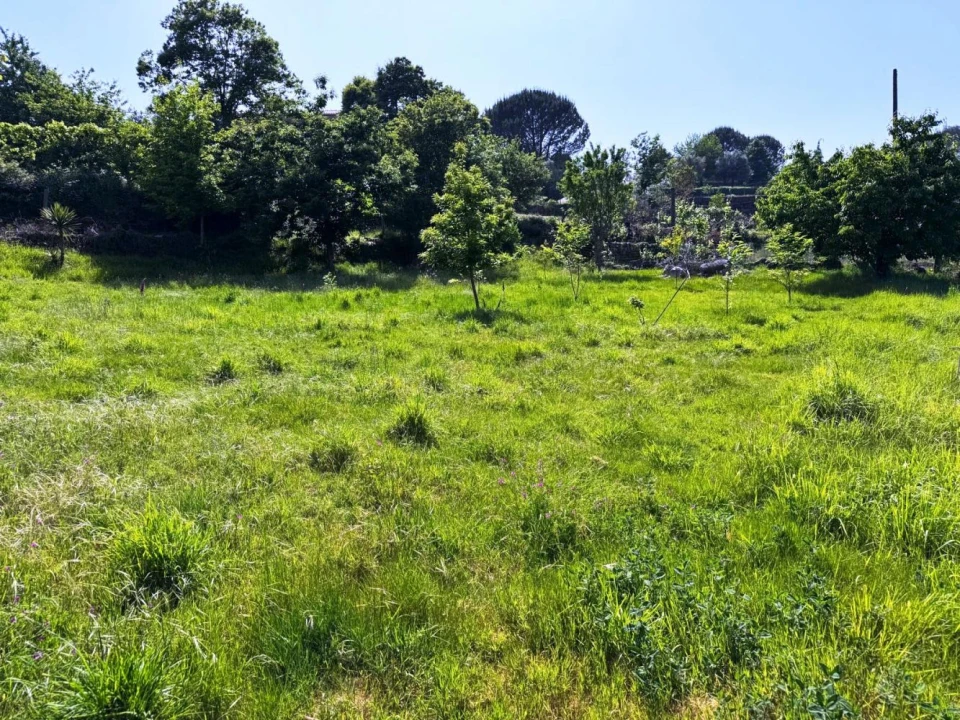 Terreno para Venda em Vieira do Minho Foto 16