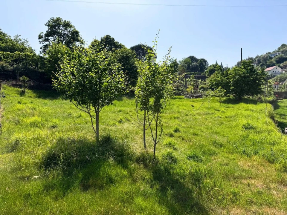 Terreno para Venda em Vieira do Minho Foto 19