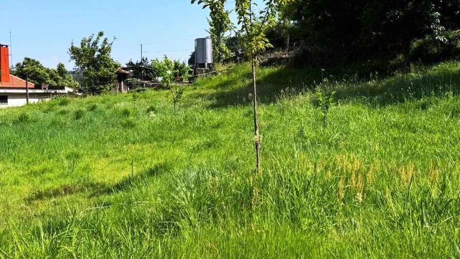 Terreno para Venda em Vieira do Minho