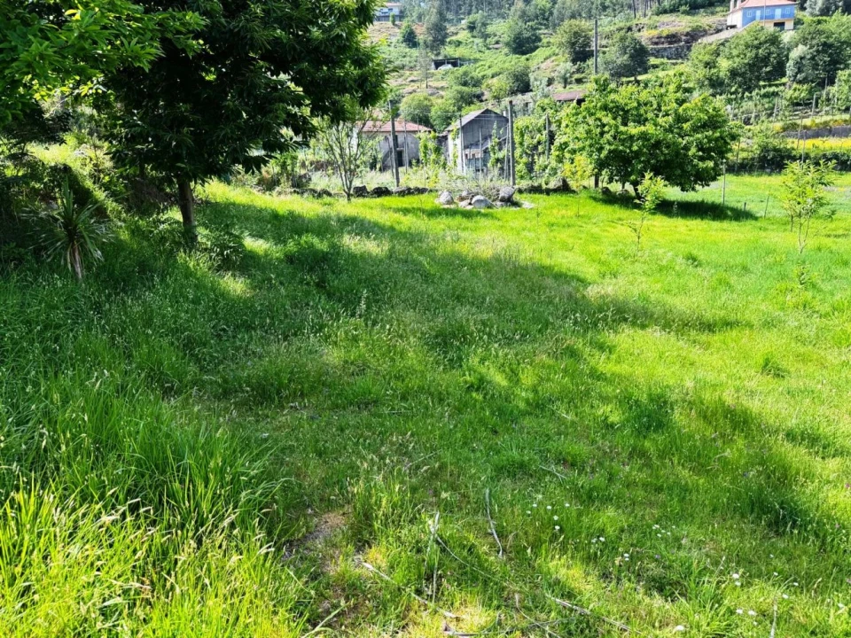 Terreno para Venda em Vieira do Minho Foto 17