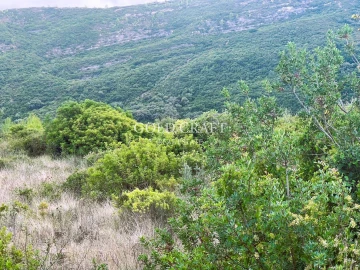 Terreno para Venda em Alverca do Ribatejo e Sobralinho
