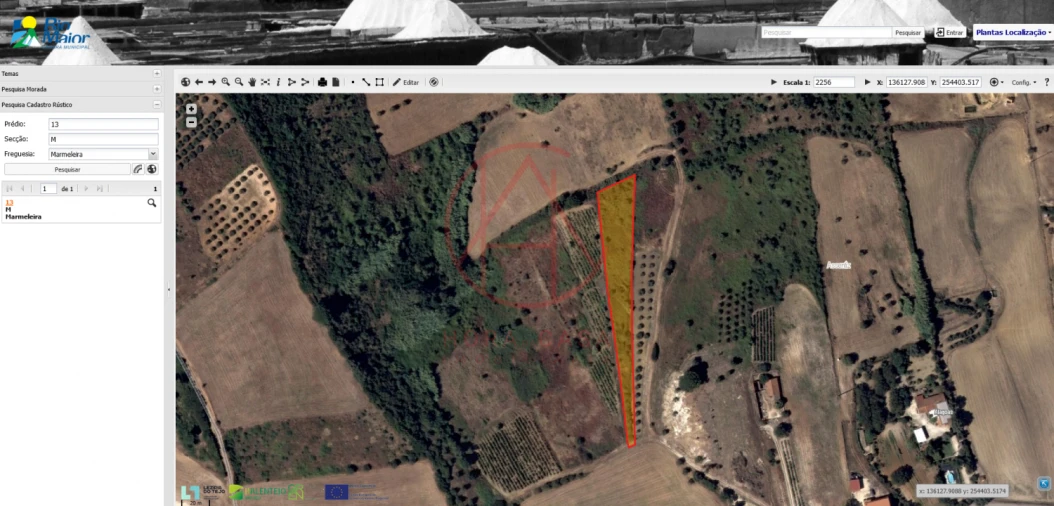 Terreno para Venda em Marmeleira e Assentiz Foto 5