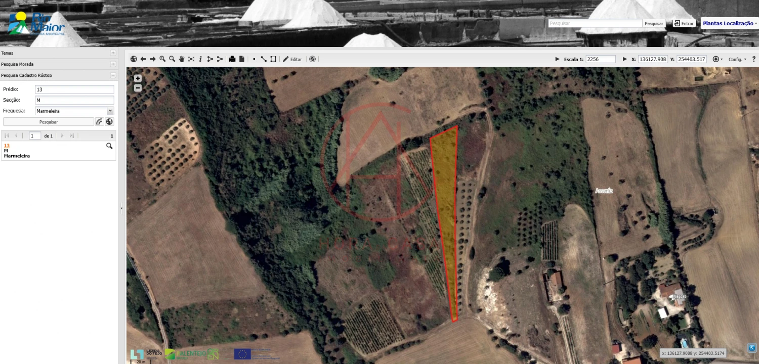 Terreno para Venda em Marmeleira e Assentiz Foto 5