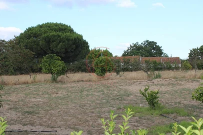 Quinta T6 para Venda em Alhos Vedros