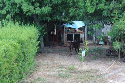 Quinta T6 para Venda em Alhos Vedros