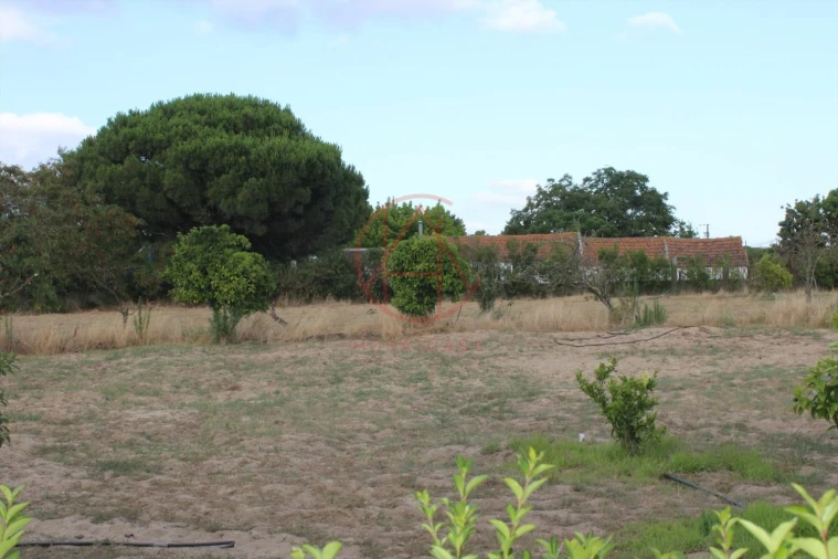 Quinta T6 para Venda em Alhos Vedros Foto 32