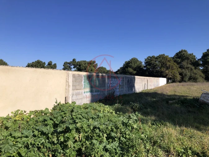 Terreno para Venda em Azeitão (São Lourenço e São Simão) Foto 18
