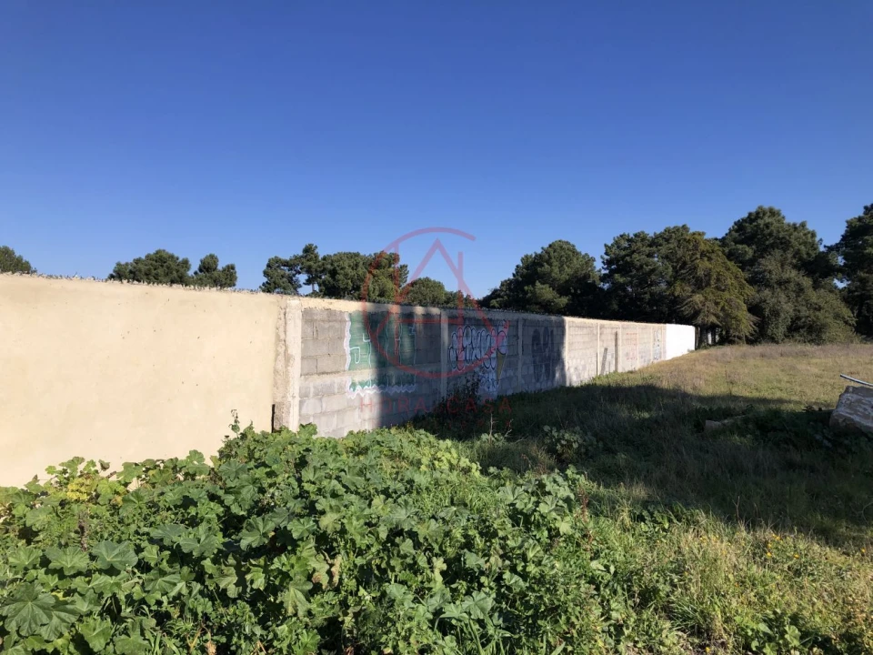 Terreno para Venda em Azeitão (São Lourenço e São Simão) Foto 18