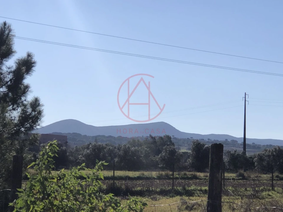 Terreno para Venda em Azeitão (São Lourenço e São Simão) Foto 19