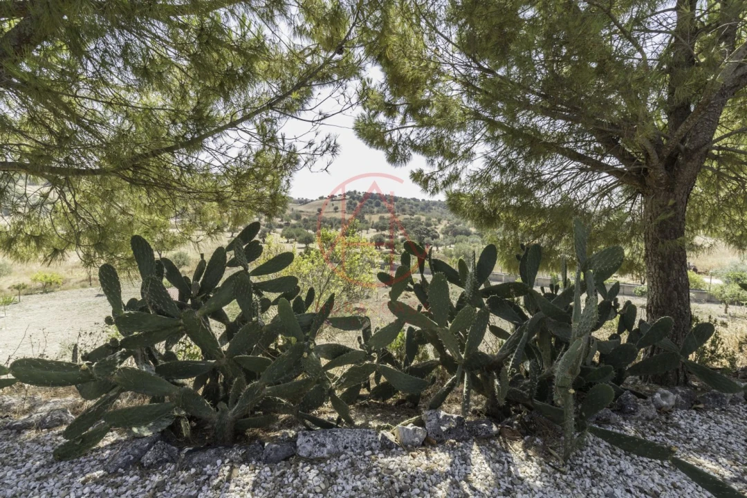 Quinta T4 para Venda em Chancelaria Foto 13