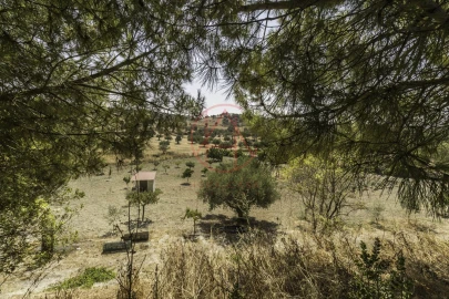 Quinta T4 para Venda em Chancelaria