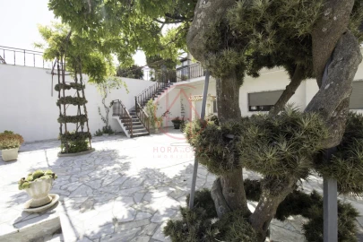 Quinta T4 para Venda em Chancelaria