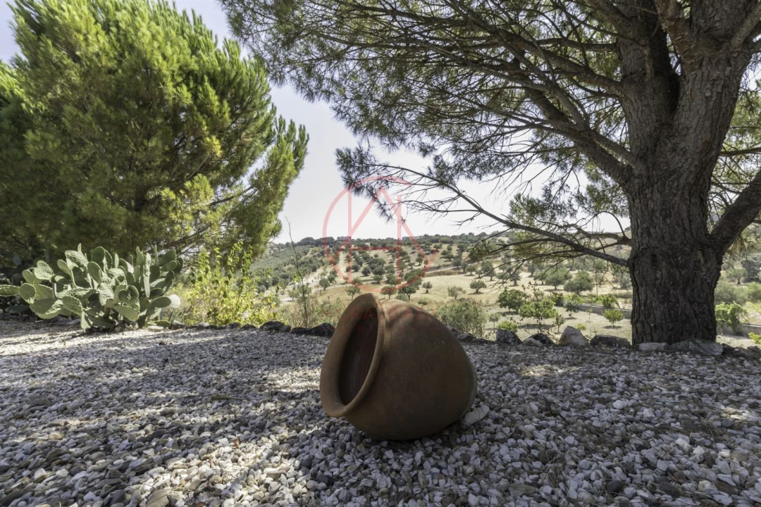 Quinta T4 para Venda em Chancelaria Foto 14