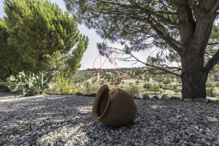 Quinta T4 para Venda em Chancelaria Foto 14